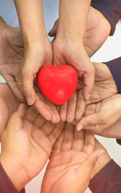 Florida charities hands holding heart